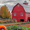 Pumpkin Patch Near Spokane