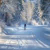 Cross-Country Skiing Spokane